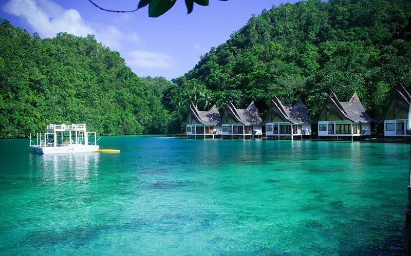 beach tropical sea summer ocean siargao