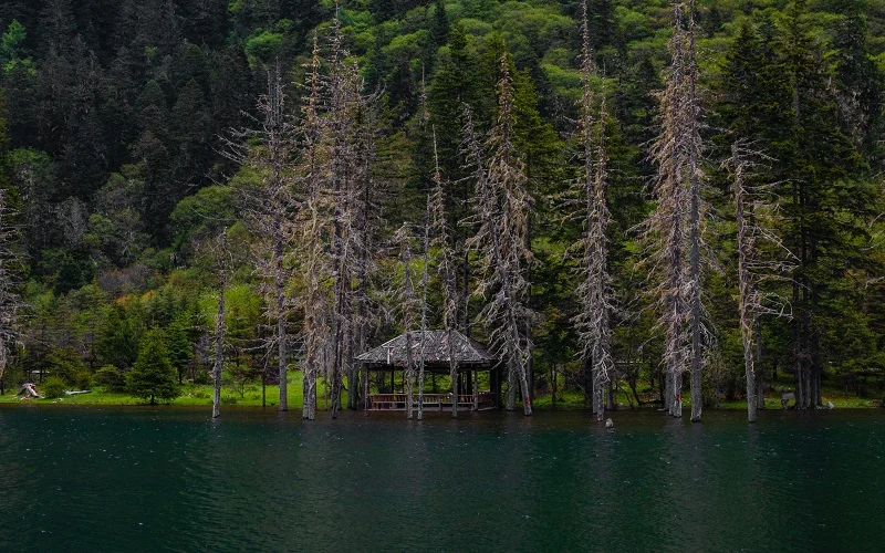 brown wooden house on green lake surrounded by green trees at boracay island