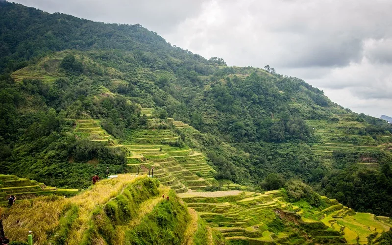 philippines rice terraces banaue