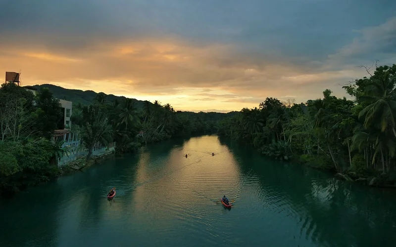 river bohol sunset forest