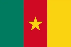 national-flag-of-cameroon