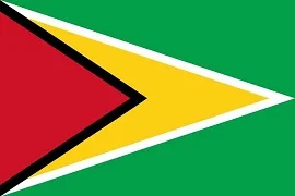 national-flag-of-guyana